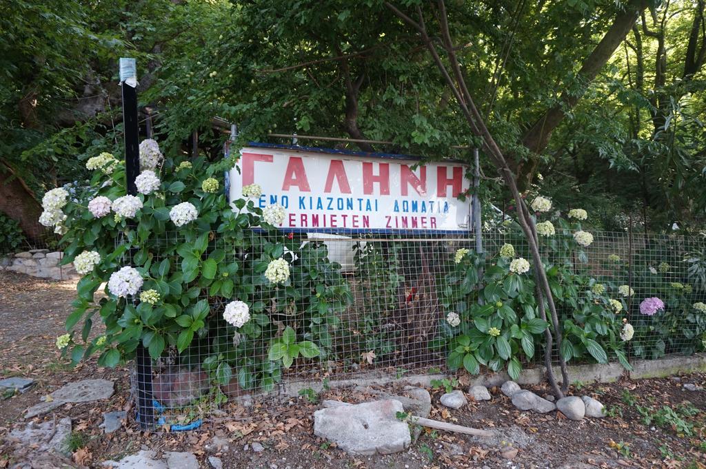 Galini Samothraki Hotell Therma  Exteriör bild